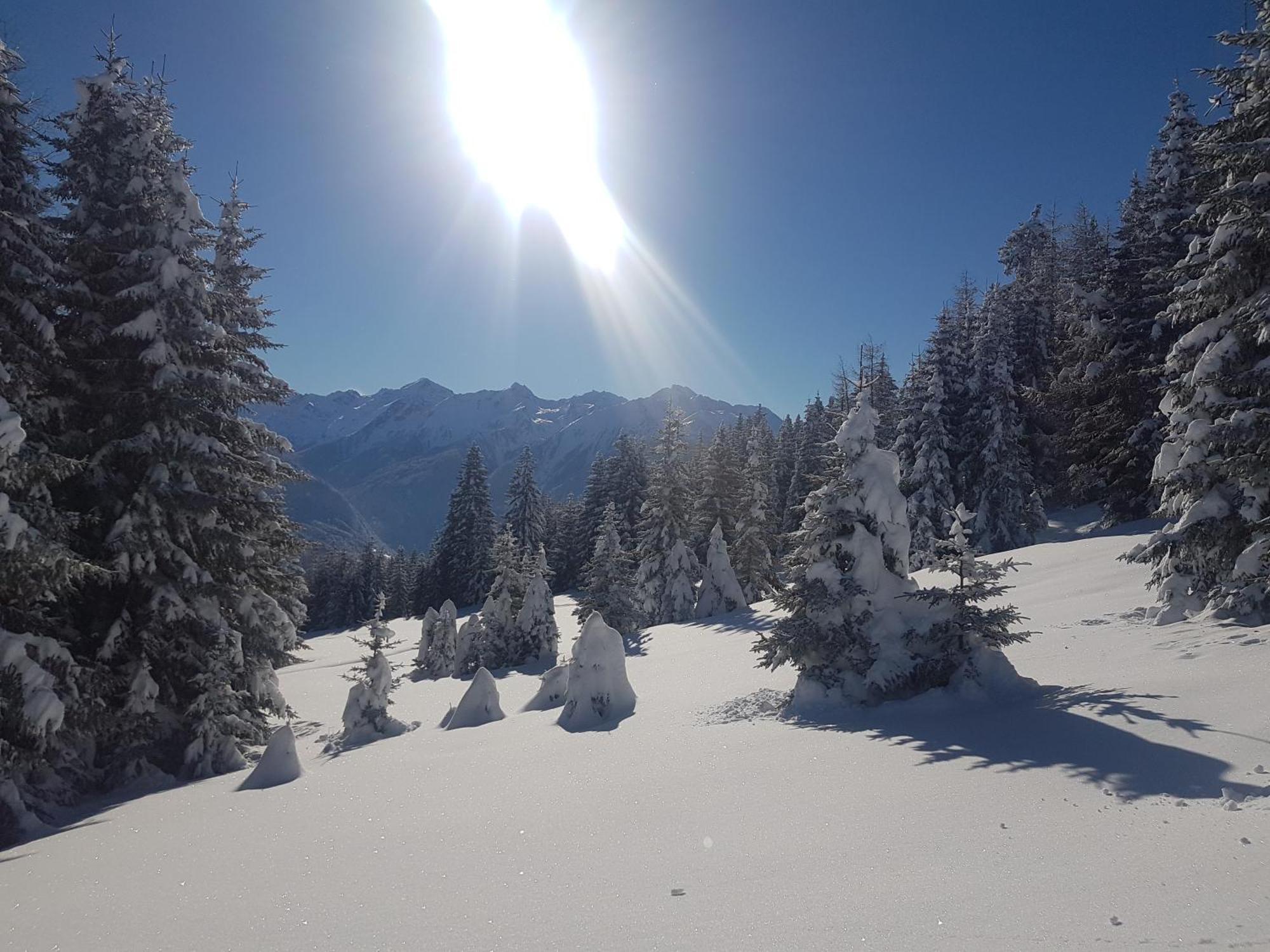 Apart Alpenzeit Arzl im Pitztal Exterior foto